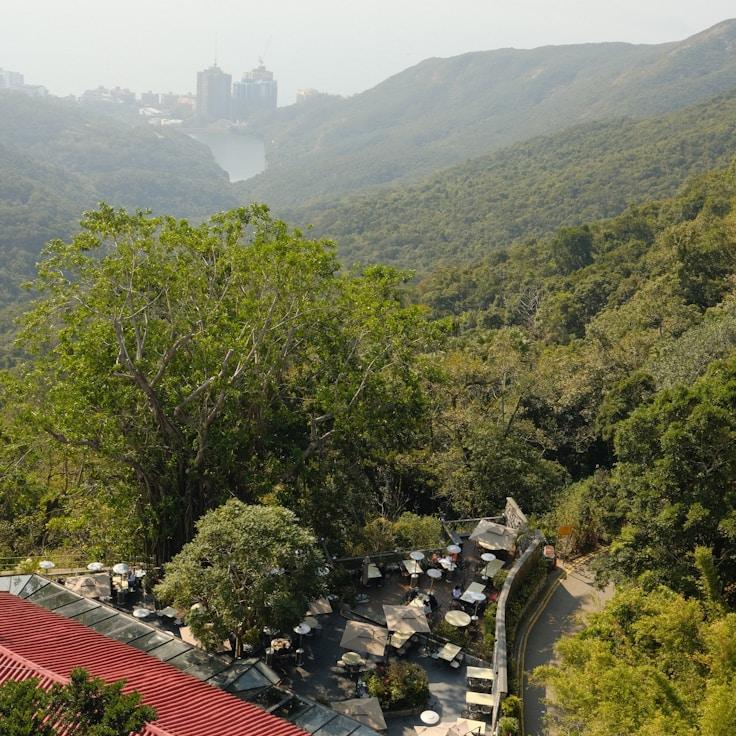 Family-friendly dining with comfortable seating